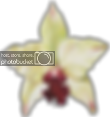 photo Project2seethrough.png