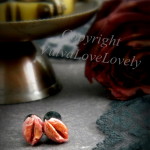 Rose Petals: 4g (5mm) Plugs
