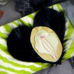 Like a Tiger: Stitched Vulva Wallet